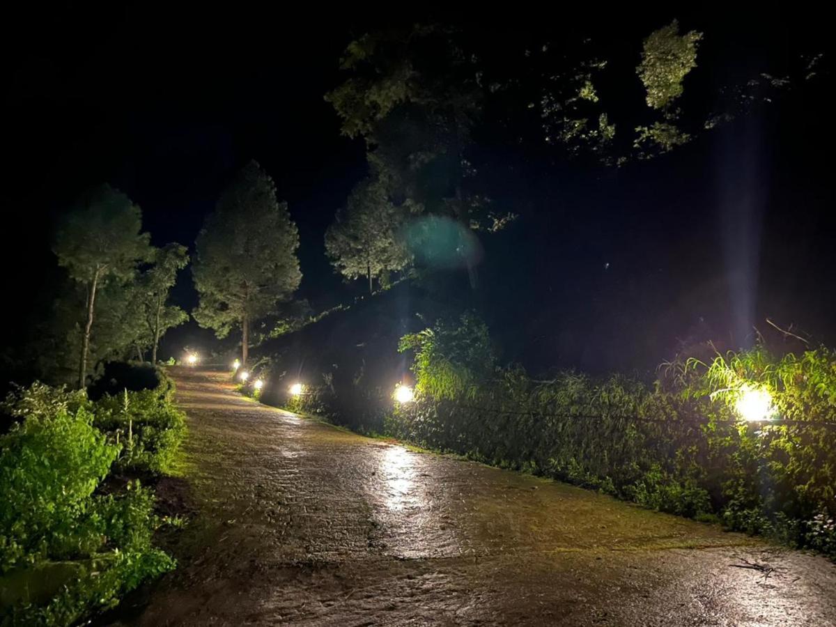 Mountain View Resort Найнитал Экстерьер фото